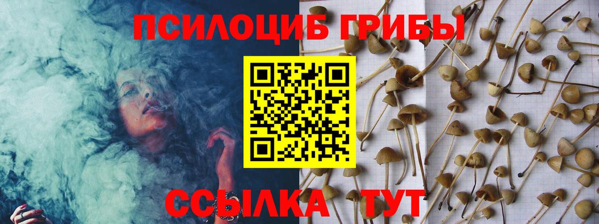 Клинцы  Галлюциногенные грибы Psilocybe  Галлюциногенные грибы мицелий  где купить   Вход с VPN 